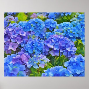 Poster Flores de Hydrangea Azul Estilo de Aquarela Floral