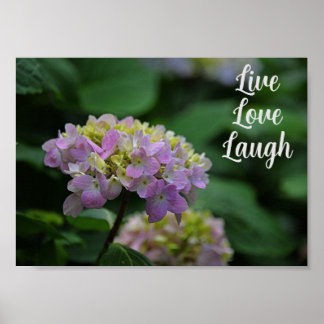 Poster Flores de Hydrangea Brancas e Rosa Motivacionais