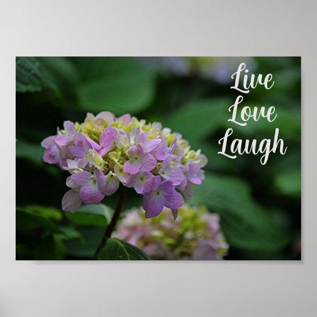 Poster Flores de Hydrangea Brancas e Rosa Motivacionais (Frente)