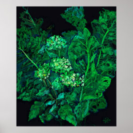Poster Flores de Hydrangea e Flores de Horseradish, Preto