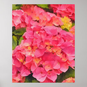 Poster Flores de Hydrangea Rosa Estilo de Aquarela Floral