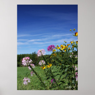 Poster Flores de inclinação