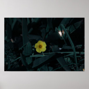Poster Flores de Indígenas Amarelo Verde da África do S