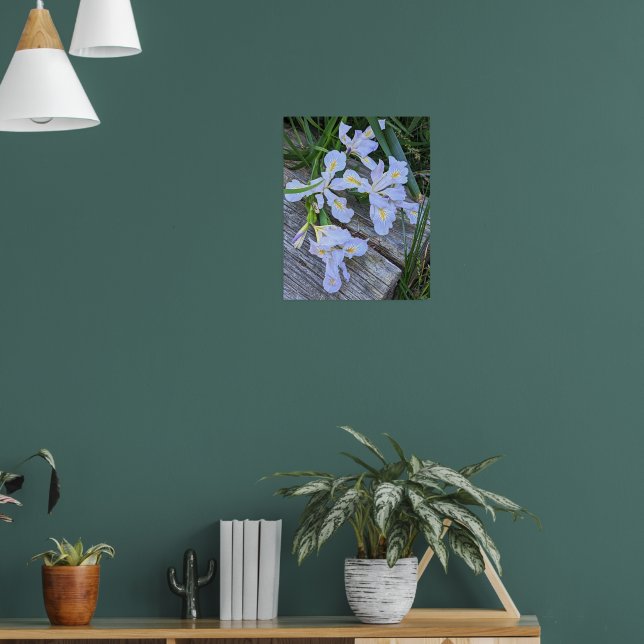 Poster Flores de Íris Roxo Claro (Sala de Estar 1)