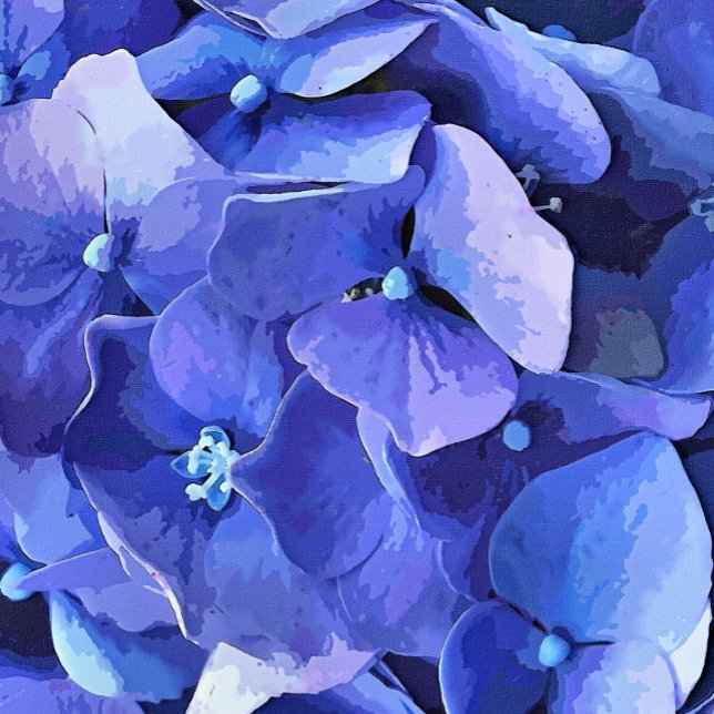 POSTER FLORES DE JARDIM (A watercolor of a beautiful vibrant blue hydrangea.)