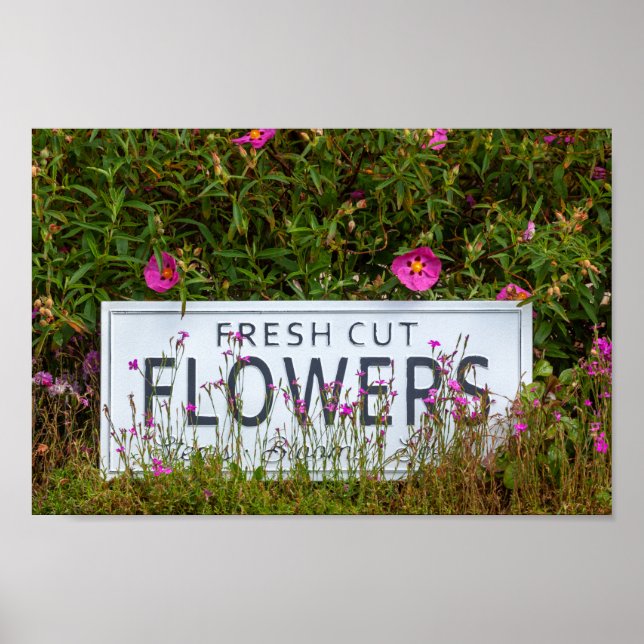 Poster Flores de jardim com flor cortada fresca 0711 (Frente)