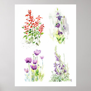 Poster Flores de Jardim de Verão Quatro Estudos de Aquare