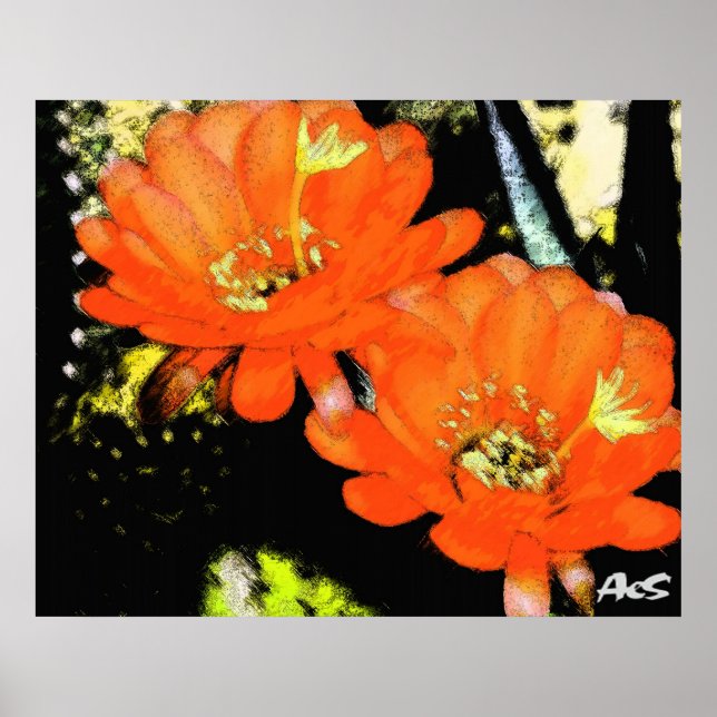 POSTER FLORES DE LARANJA (Frente)