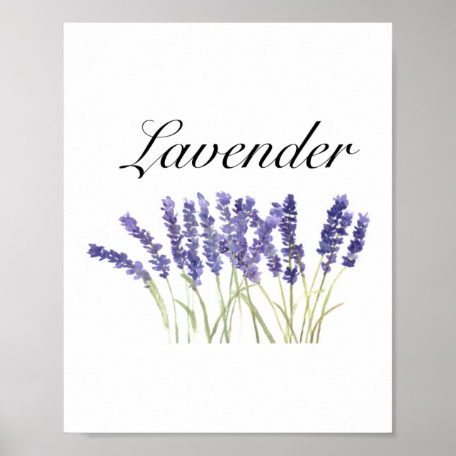 Poster Flores de lavanda aquarela ervas roxo chique (Frente)