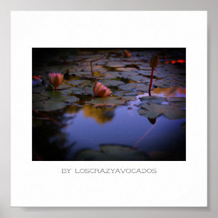Poster Flores De Lily De Água Rosa Estilizadas Flores De