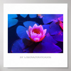 Poster Flores De Lily De Água Rosa Estilizadas Plantas Po