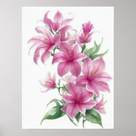 Poster Flores de Lily Orientais Rosa
