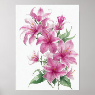 Poster Flores de Lily Orientais Rosa