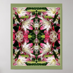 Poster Flores De Lily Vermelhas E Brancas Abstrato