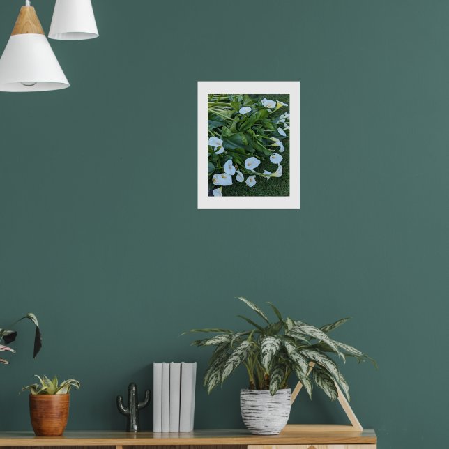 Poster Flores de Lírio-de-água Branco (Sala de Estar 1)
