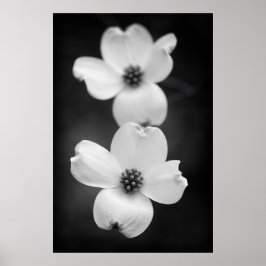 Poster Flores de madeira em preto e branco