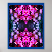 Flores de margarida africanas rosa Abstrato de esp