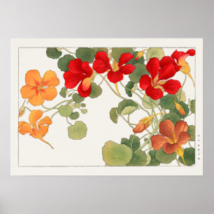 Poster Flores de Nastúcio Vermelho e Laranja por Tanigami