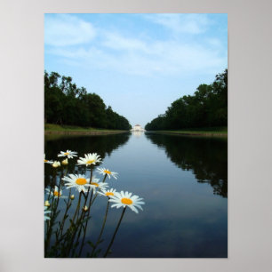 Poster Flores de Nymphenburg