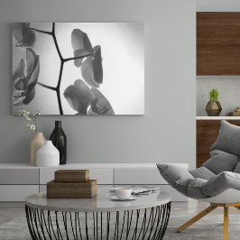 Poster Flores de Orquídea Negra e Branca no Tronco