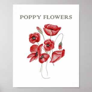 Poster Flores de Papoila