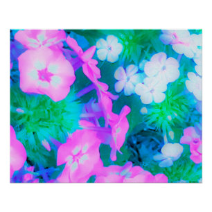Póster Flores de Phlox do Jardim Cor-de-Rosa, Verde, Azul