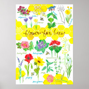 Poster Flores De Plantas Para As Abelhas De Honeycomb Wat