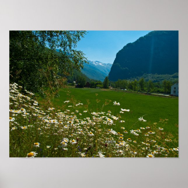 Poster Flores de primavera da Noruega (Frente)