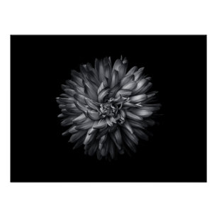 Póster Flores De Quintal A Preto E Branco 20
