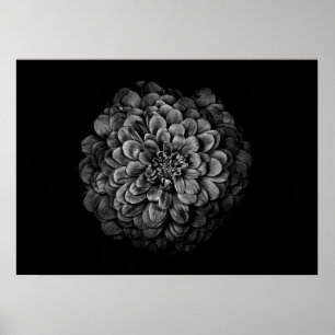 Poster Flores De Quintal A Preto E Branco N.O 54
