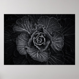 Poster Flores De Quintal A Preto E Branco No 108