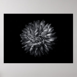Poster Flores De Quintal Em Preto E Branco 20