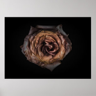 Poster Flores De Quintal N.O 139 Colorido