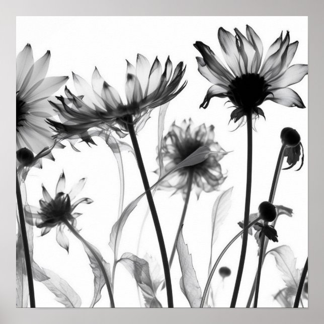 Poster Flores de raios X preto e branco (Frente)