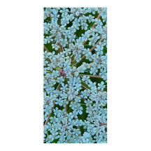 Flores de rendas da Rainha Anne