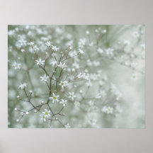 Flores de Respirar de Bebê Fotografia Sonhadora da