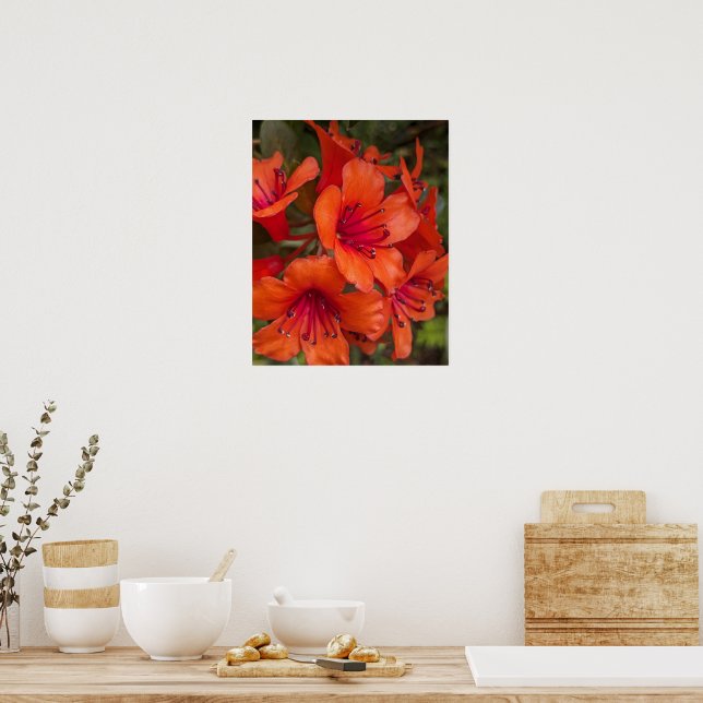 Poster Flores de Rhododendron Laranja Brilhante (Cozinha)