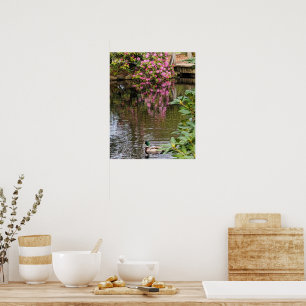 Poster Flores de Rhododendron Rosa Reflexo na Água