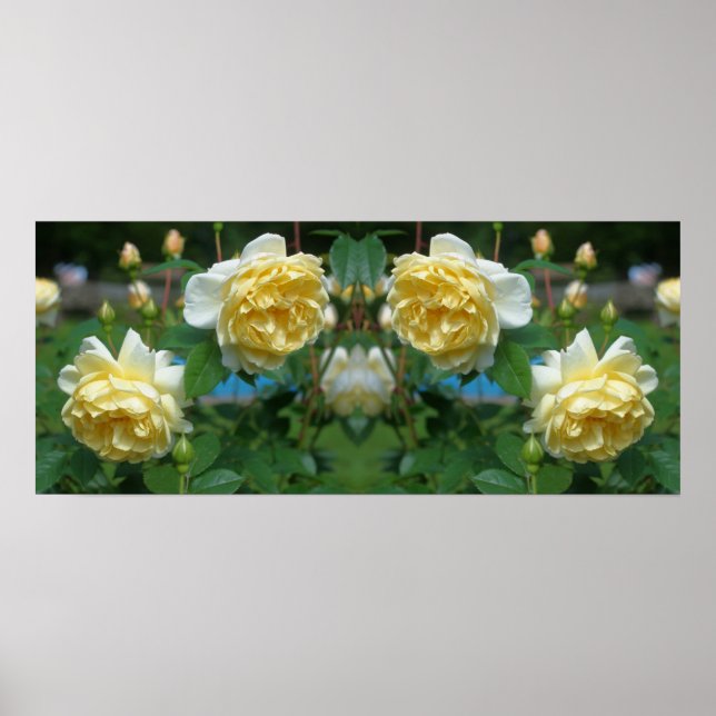Poster Flores de Rosa Amarela Espelho Abstrato (Frente)