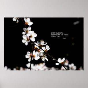 Póster Flores de Sakura