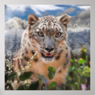 POSTER FLORES DE TEMPO DE SPRINGTIME LEOPARD DE NEVE