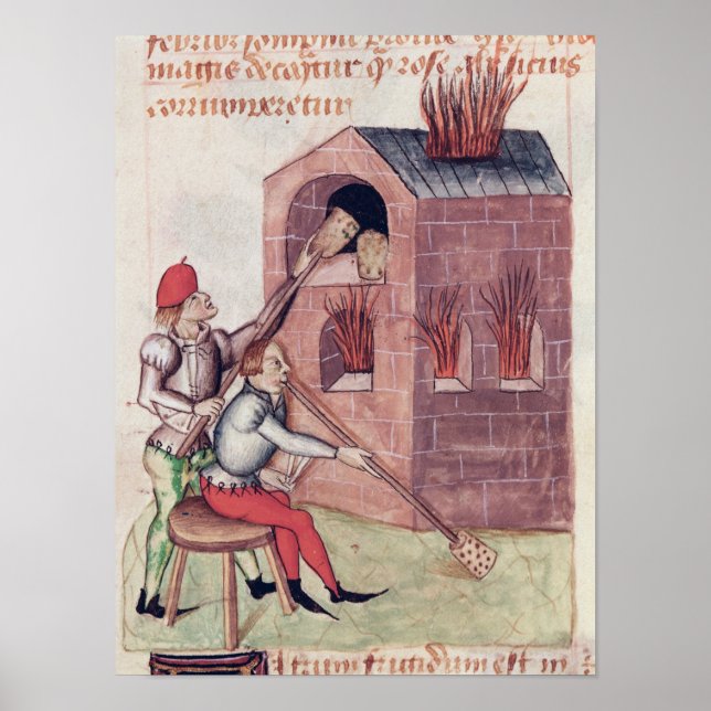 Póster Flores de vidro, de Tractatus de Herbis (Frente)