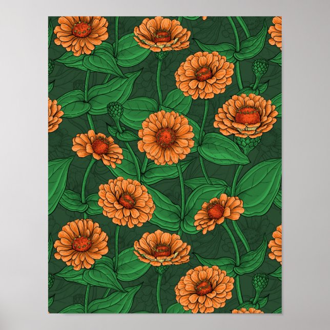 Poster Flores de Zinnia laranja, folhas verdes em verde e (Frente)
