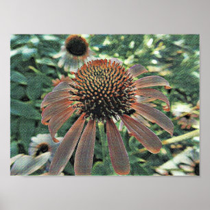 Poster Flores do amor