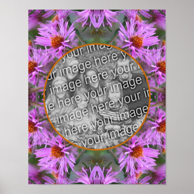Poster Flores do New England Aster Rosa Adicionam Sua Fot (Frente)