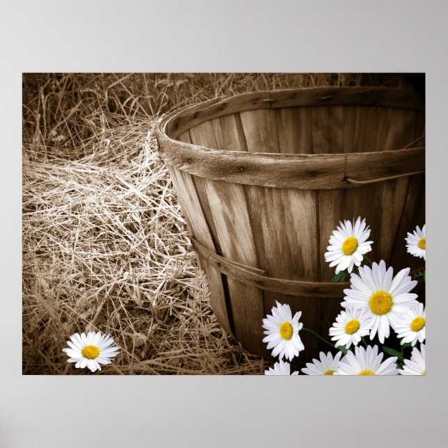 Póster Flores do País (Frente)