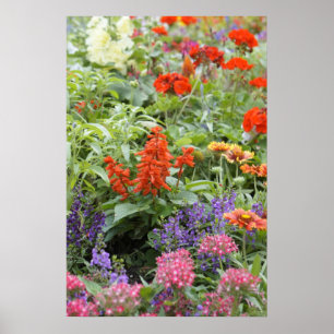 Poster Flores do primavera