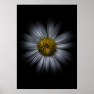 Poster Flores do Quintal Nº 13 Versão Color Flow