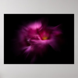 Poster Flores do Quintal Nº 2 Versão Color Flow