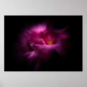 Poster Flores do Quintal Nº 2 Versão Color Flow